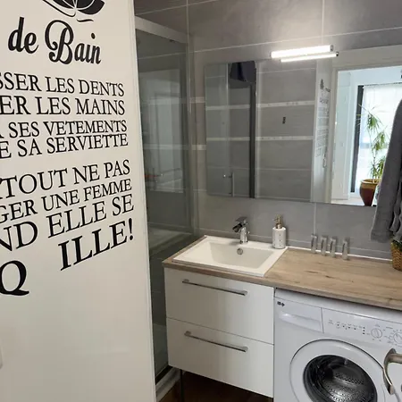 40 M2 Climatise Au Centre De Lgm Lejlighed