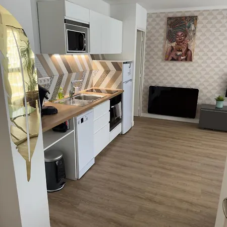 40 M2 Climatise Au Centre De Lgm La Grande-Motte