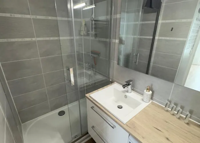 T2 De 40m2 Refait à Neuf Pour Vous ! Climatisé