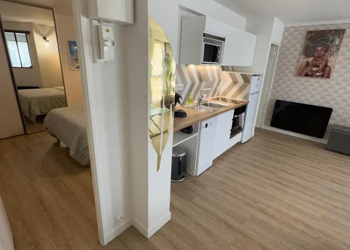 Apartamento T2 De 40m2 Refait à Neuf Pour Vous ! Climatisé