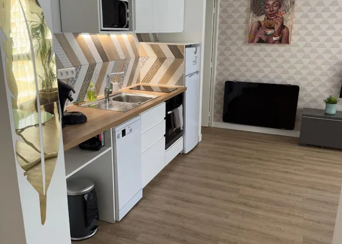 T2 De 40m2 Refait à Neuf Pour Vous ! Climatisé La Grande-Motte